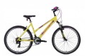 Rower MTB 26" Maxim Lady Shimano TX35