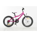 Rower Storm Belle 20'' 