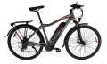 Rower elektryczny Overfly Warrior Plus elektryk