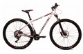 Rower MTB 29"CAYON SLX Northtec