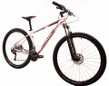 Rower MTB 29" CAYON Alivio Northtec