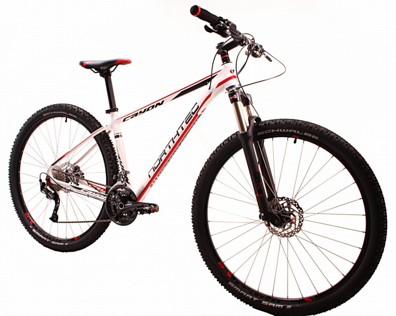 Rower MTB 29" CAYON Alivio Northtec