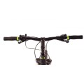 Rower górski MTB 29 Cayon DR Northtec