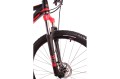 Rower górski MTB 29 Halcyon  Northtec