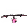 Rower górski MTB 27,5 Sowelo VB Northtec
