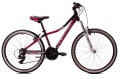Rower górski MTB 26 Ragusa Northtec
