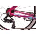 Rower górski MTB 26 Ragusa Northtec