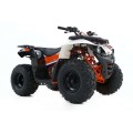 Quad KAYO AU125