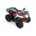 Quad KAYO AU125