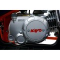 Quad KAYO AU125