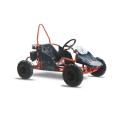 Buggy Kayo S70