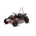 Buggy Kayo S70