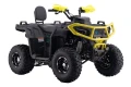 Quad Barton Dirtman 125