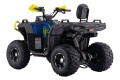 Quad Barton Dirtman 125