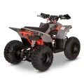 QUAD KAYO A 125