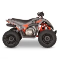 QUAD KAYO A 125