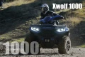 Quad Loncin XWolf 1000 – Mocny Quad Terenowy z Homologacją T3B