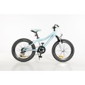 Rower Storm Belle 20'' 