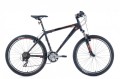 Rower MTB 26 Maxim Gent Shimano TX35