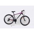 Rower Storm Raptor 1,0 koła 27,5