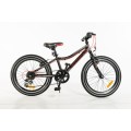 ROWER STORM ROCKET 20''