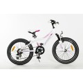 Rower Storm Belle 20'' 