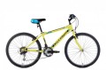 Rower MTB 24" Buffalo Boy Shimano Tourney TY21